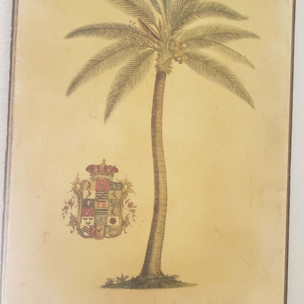 Georg Ehret Vintage Palm & Papaya art